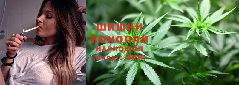 Бошки марихуана Ganja  купить наркоту  Луга 